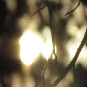 livid (prodloveiswar)