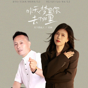 昨天梦里你去了哪里