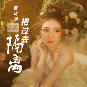 曾诗涵 - 把过去隔离 (DJ默涵版)