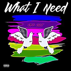 What I Need (Explicit)