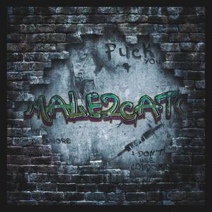 Male2cato (feat. Falas) [Explicit]