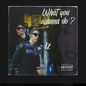 What you wanna do (Explicit)