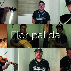 Flor Palida