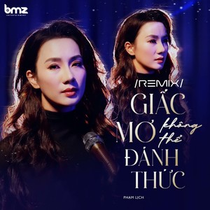 Giấc Mơ Không Thể Đánh Thức (Remix)