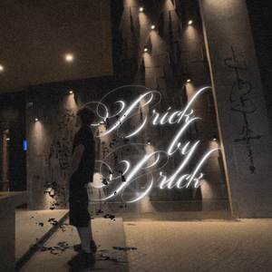 plata timba y fierros #BRICKBYBRICK