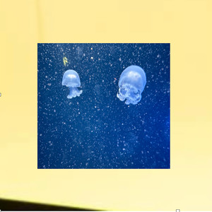 Loved you from the start