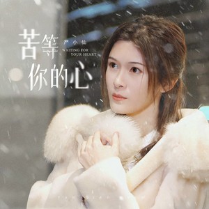 苦等你的心 (伴奏)封面
