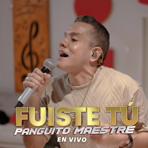 Fuiste Tú (En Vivo)