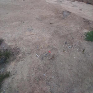 Pound town 2 boys response (Explicit)