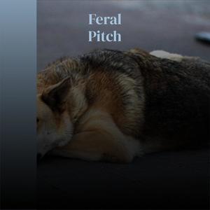 Feral Pitch