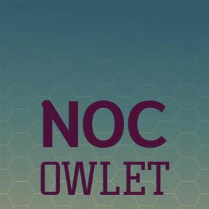 Noc Owlet