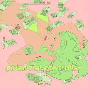 Financial Controller (Explicit)