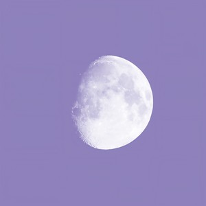 Magic Forest (魔法丛林)