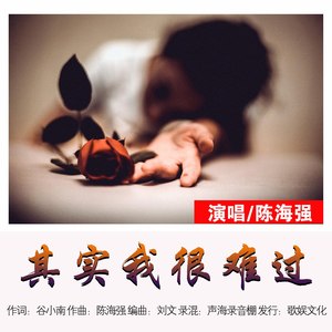 其实我很难过伴奏