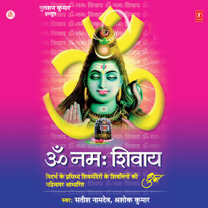 Om Namah Shivaya