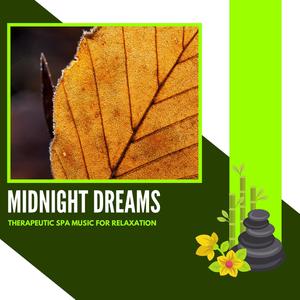 Beauty Of A Remedy (Original Mix)