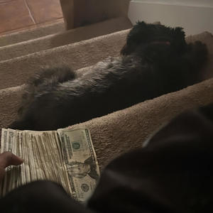 psykoh (feat. antye) (Explicit)