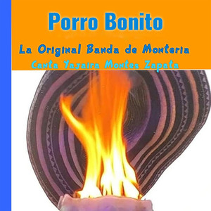 Porro bonito