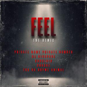 FEEL (feat. Choclair, Dj Disspare, Snackz & Tha Rhyme Animal|The Remix|Explicit)
