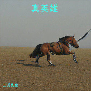 真英雄（颠覆了天下）-三页先生