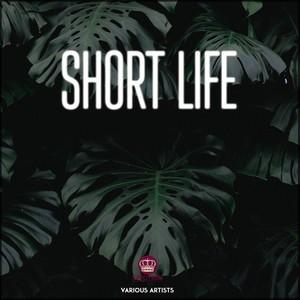 Short Life