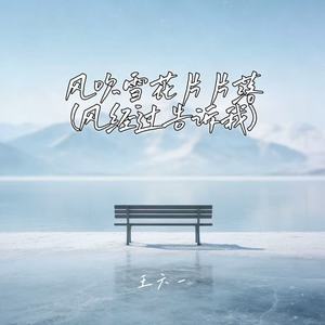 风吹雪花片片落 (风经过告诉我)