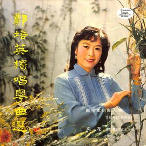 断桥重到断人肠