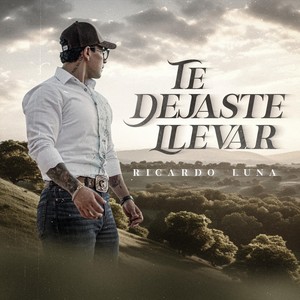 Te Dejaste Llevar