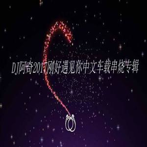 2017刚好遇见你中文车载串烧 (DJ版)