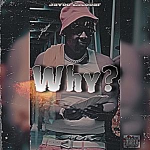 WHY (Explicit)