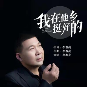 我在他乡挺好的  李春亮版