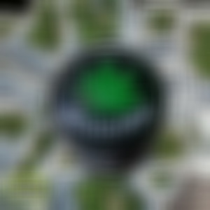 Verdinho do oriente (Explicit)