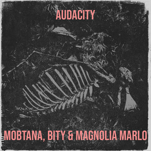 Audacity (Explicit)