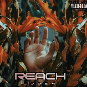 REACH (Explicit)