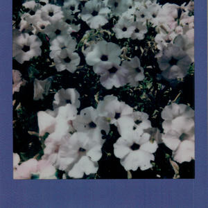 17th st NE (feat. 90Wyse) (Explicit)