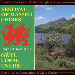 Gwyl Y Corau / Festival Of Massed Choirs Albert Hall