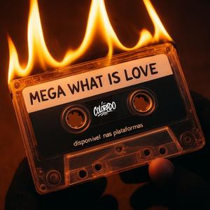 MEGA FUNK WHAT IS LOVE