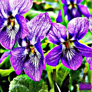 Viscious Violent Violets (Explicit)