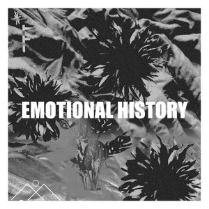 Emotional History (Explicit)