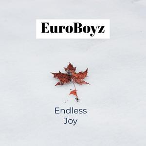 Endless Joy
