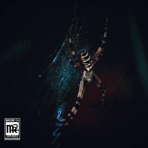 CONNECT (feat. Rawn, Grizzie Grime & Mkrio) (Explicit)