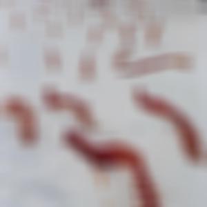 my severed spine will bear the weight that made atlas shrug (feat. Lyco!) (Explicit)