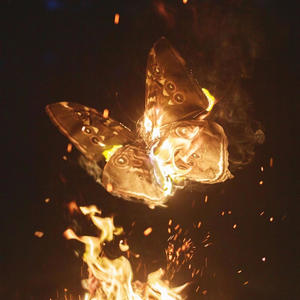 BACIO GELATO (Explicit)