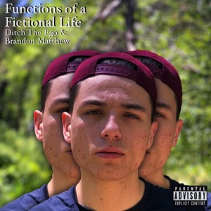 FUNCTIONS OF A FICTIONAL LIFE (Explicit)