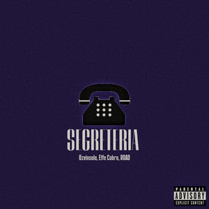 SEGRETERIA (feat. ozvinsala, Effe Cobra & RAUD|Explicit)