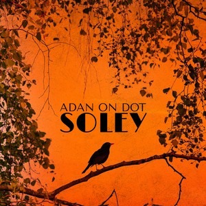 Adan on Dot Soley