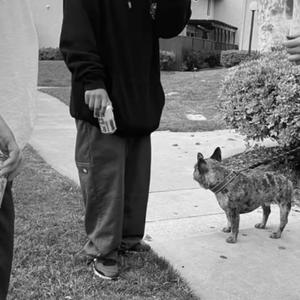 Blower On Me (Explicit)