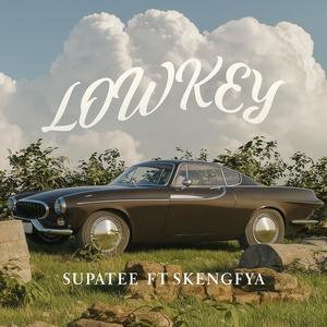 Lowkey (feat. skengfya)
