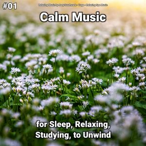 Calming Music for Mindfulness