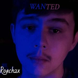 Roach2X - RAIN SOUNDS (Explicit)